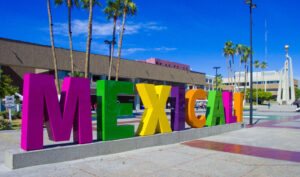 Seguridad Privada en Mexicali