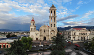 Seguridad Privada en Saltillo