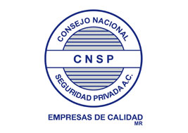 Consejo Nacional de Seguridad Privada
